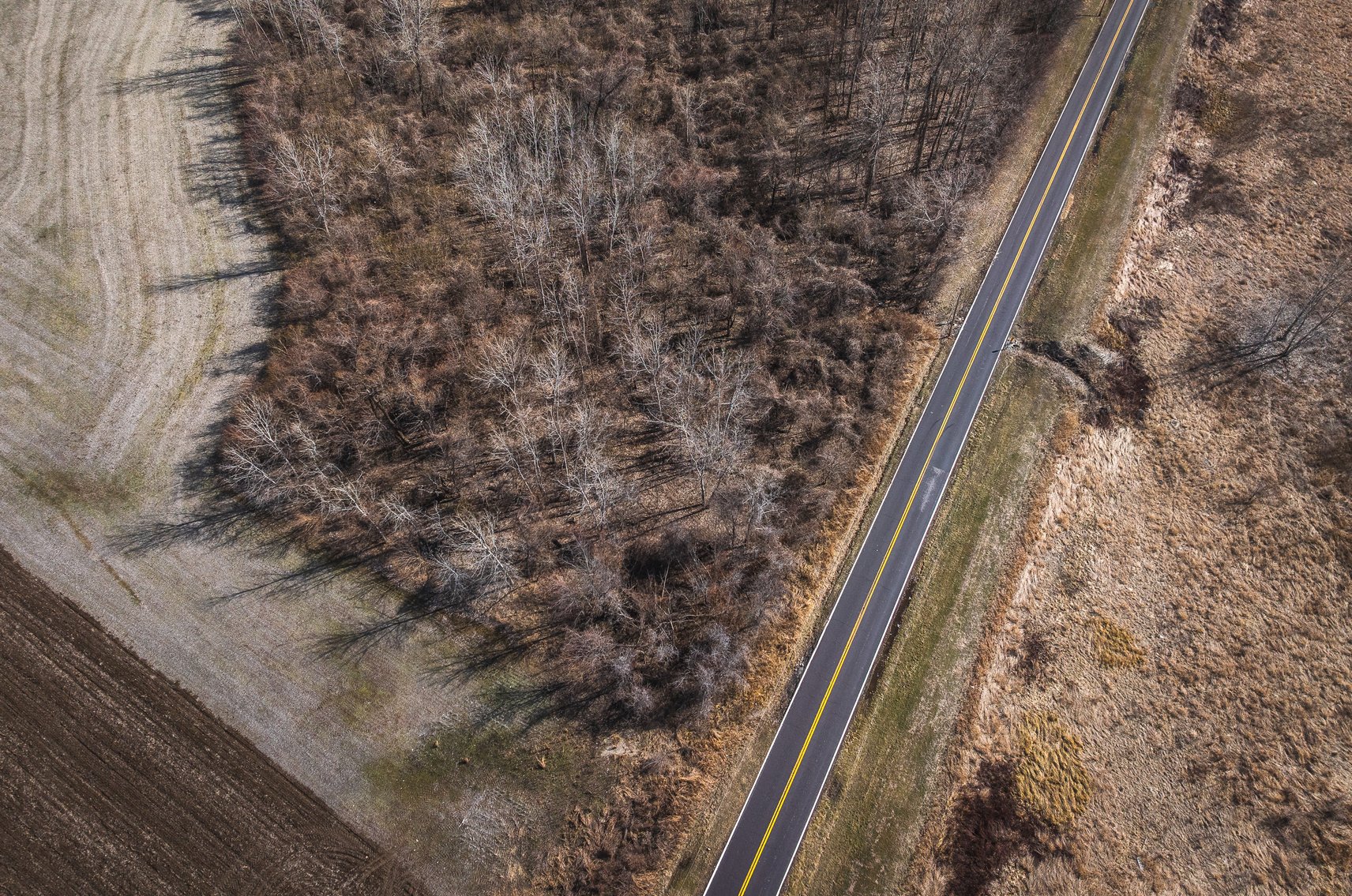 Image for Missouri Bottom Road Auction