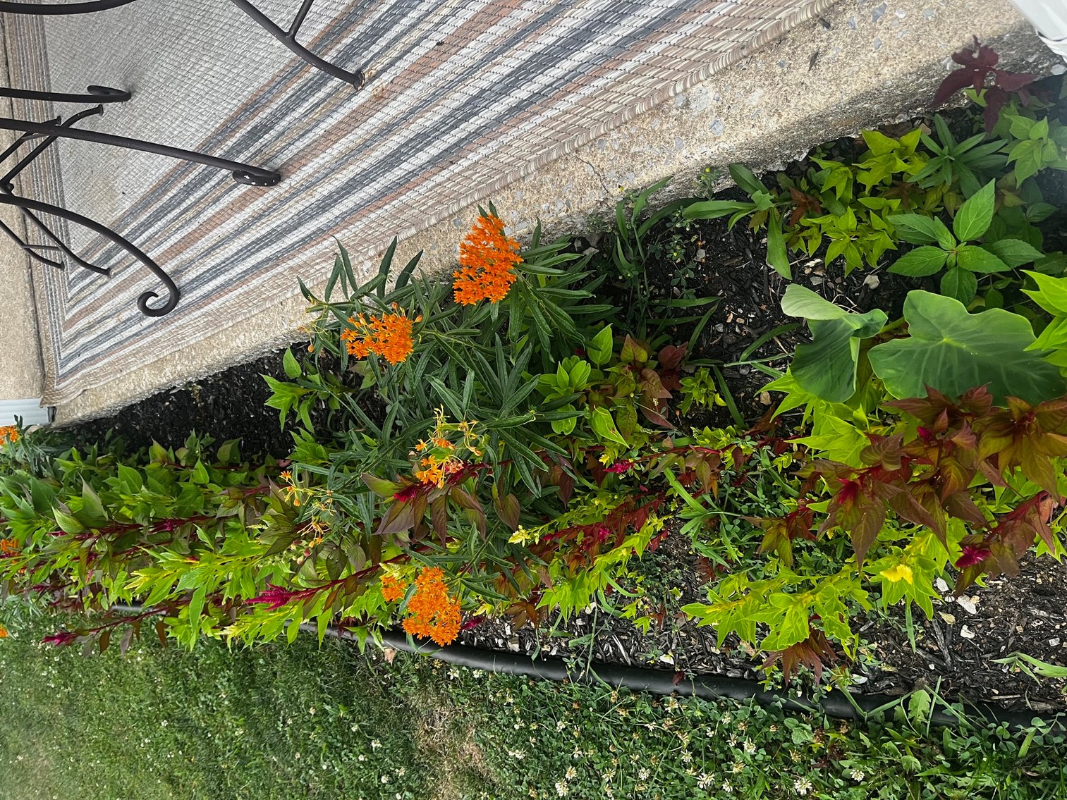 Image for Mobile Home Auction - 50+ Swatara Mobile Homes Park Community