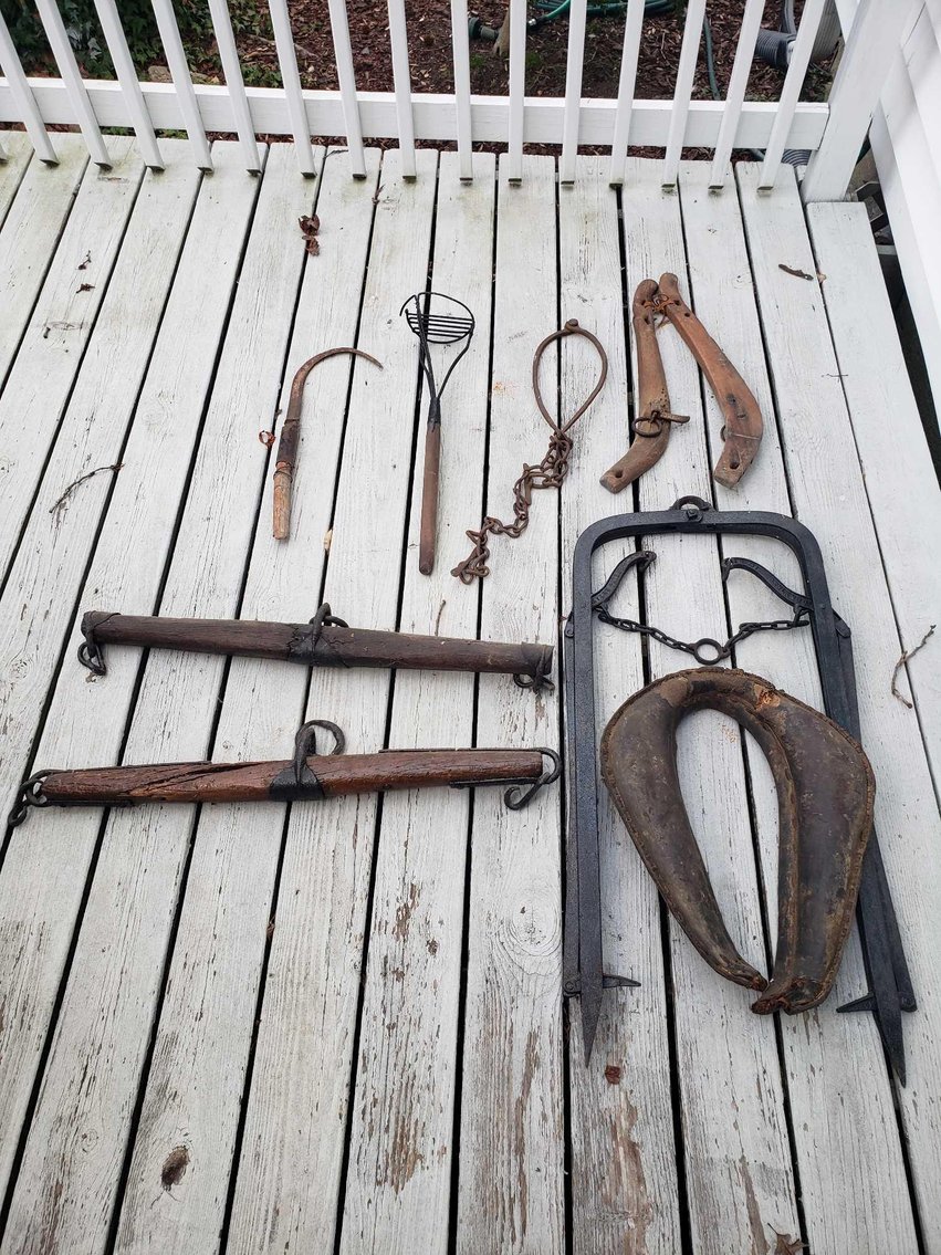 Image for Evelyn Estate