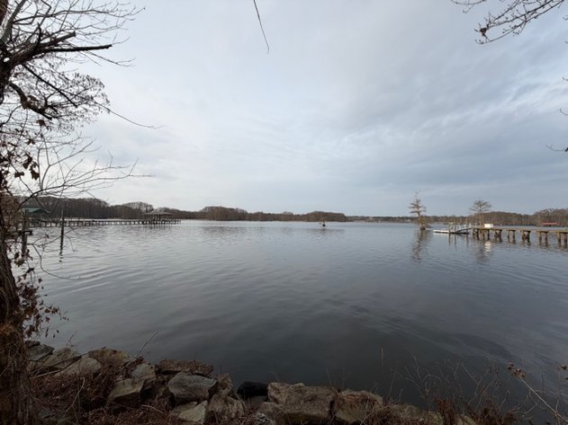 Image for New Kent County Tax Delinquent Auction February 5, 2026