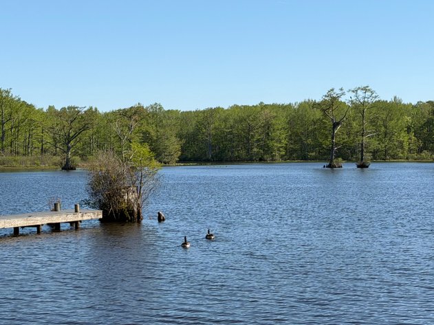 Image for Eagles Landing Marina Real Estate and Business Assets - New Kent County Virginia