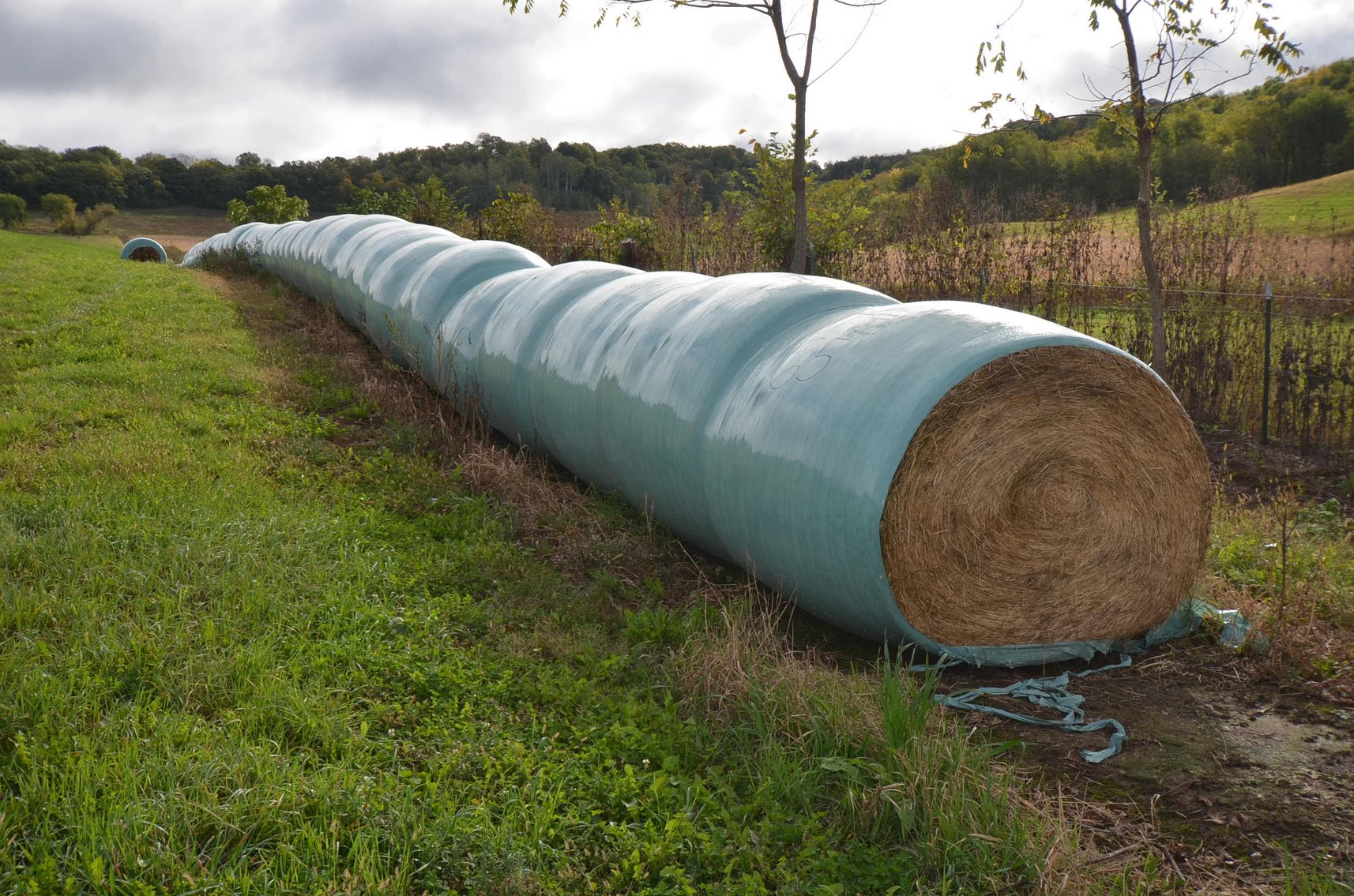 Image for TRACTORS, HAY & TILLAGE EQUIP,  LIVESTOCK EQUIP, TOOLS AND MORE! - Mondovi, WI