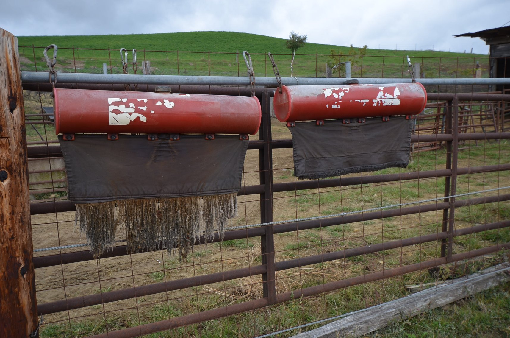 Image for TRACTORS, HAY & TILLAGE EQUIP,  LIVESTOCK EQUIP, TOOLS AND MORE! - Mondovi, WI