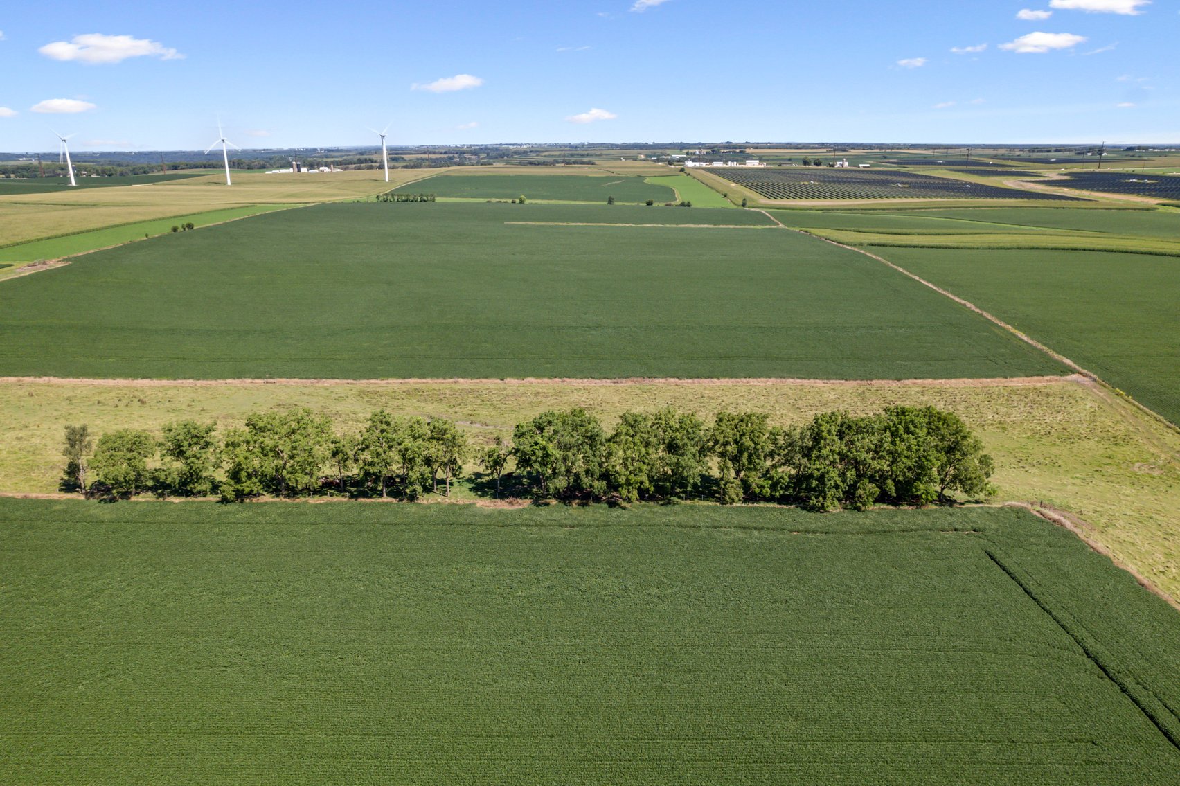 Image for 80 ACRES IN IOWA COUNTY, WI - REAL ESTATE