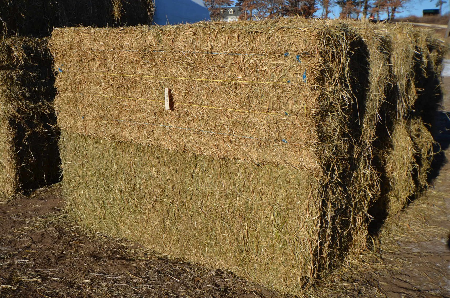 Image for DODGE ONLINE HAY AUCTION - Dodge, WI