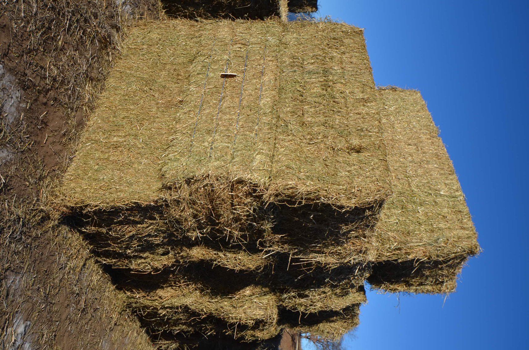 Image for DODGE ONLINE HAY AUCTION - Dodge, WI