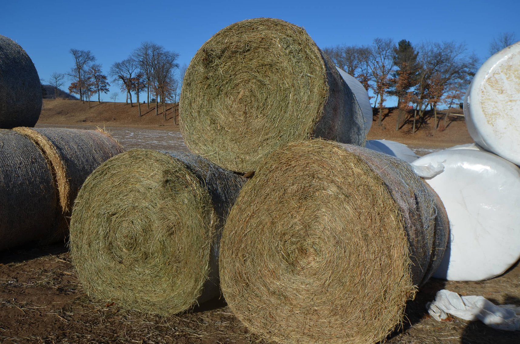 Image for DODGE ONLINE HAY AUCTION - Dodge, WI