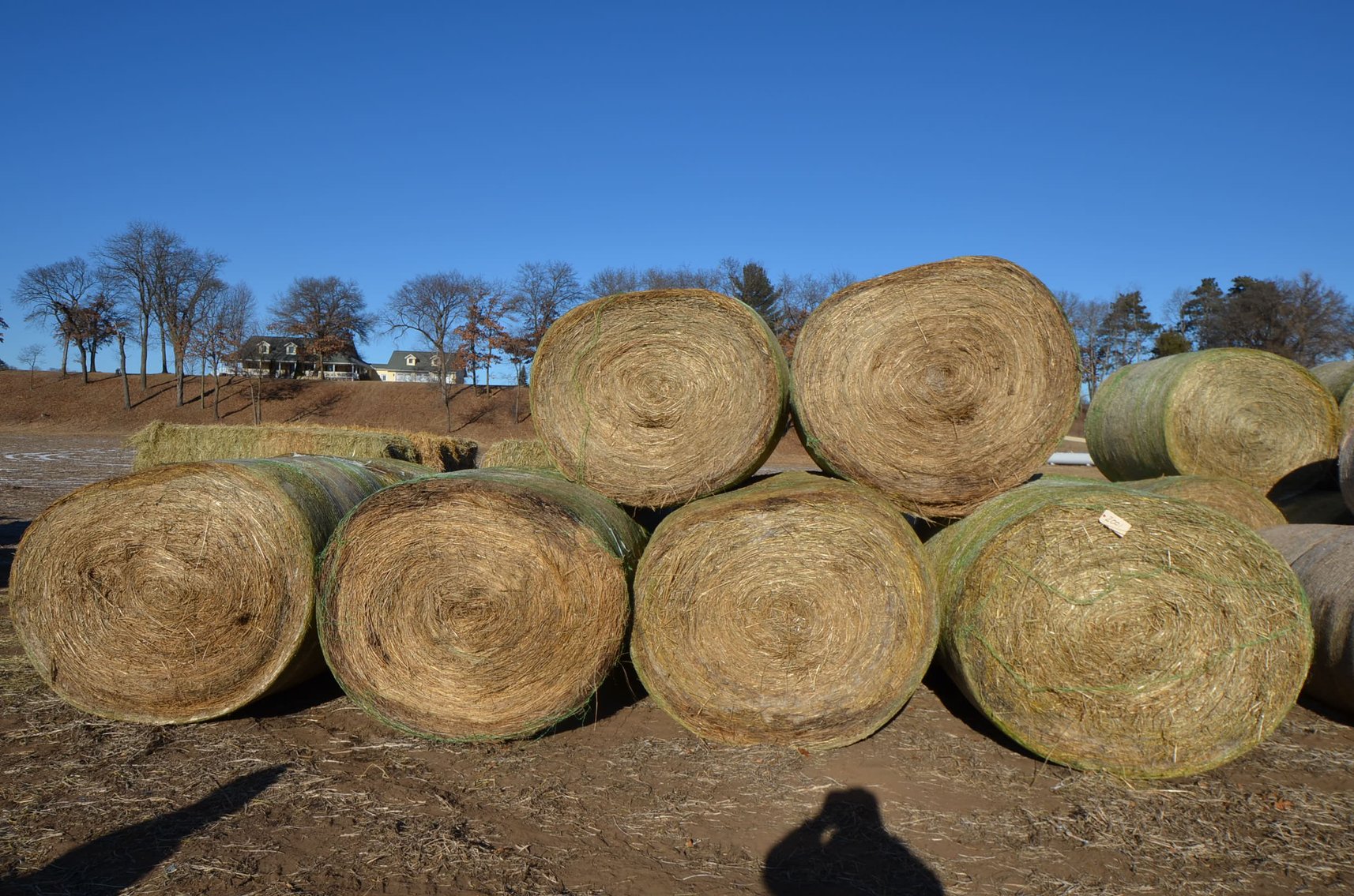 Image for DODGE ONLINE HAY AUCTION - Dodge, WI