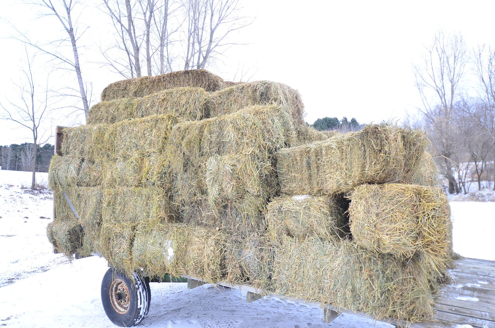 Image for CHEVY TRUCK, FORD VAN, SILVER COINS, HAY, AND MORE - Mondovi, WI