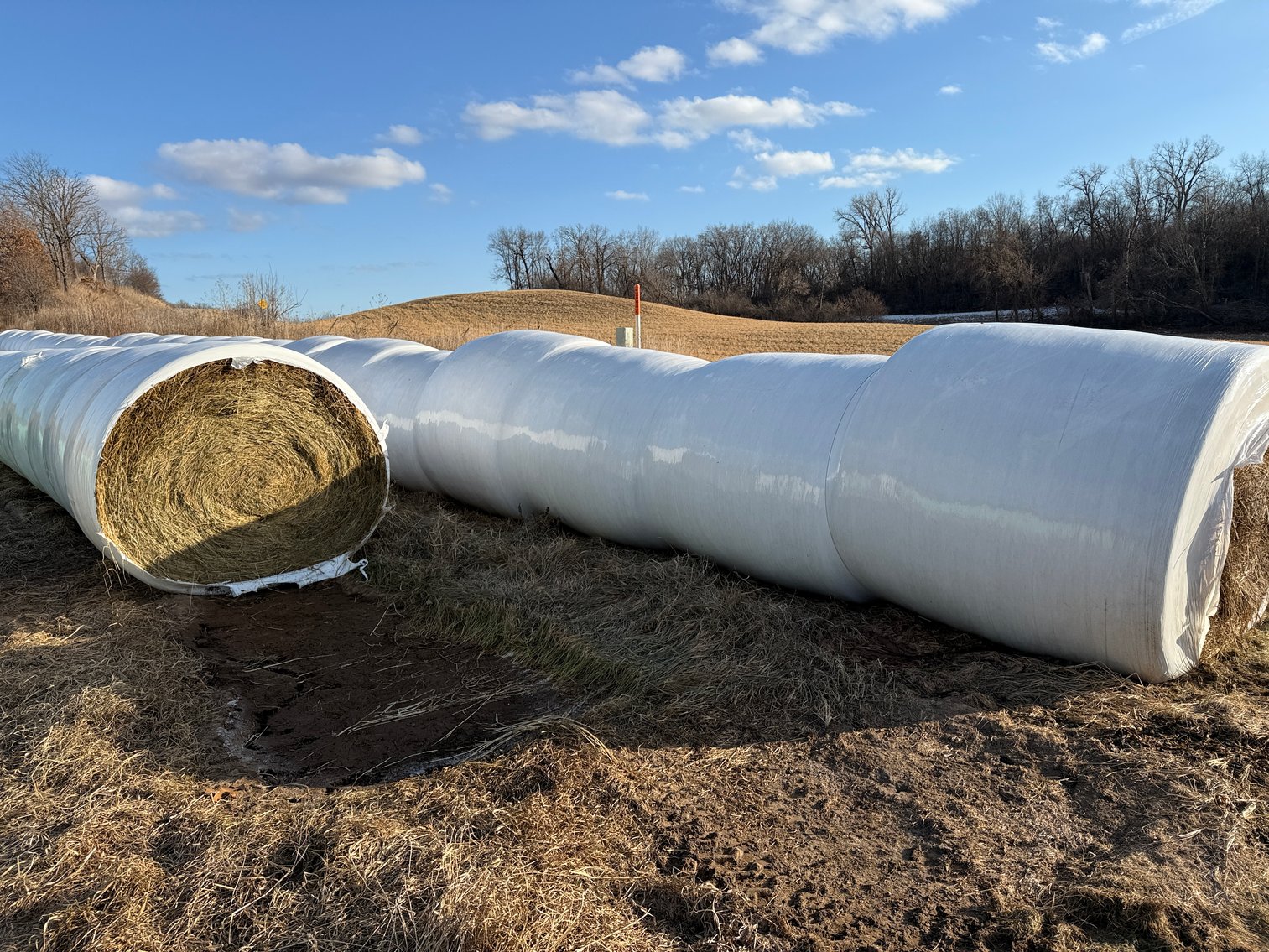 Image for CHEVY TRUCK, FORD VAN, SILVER COINS, HAY, AND MORE - Mondovi, WI