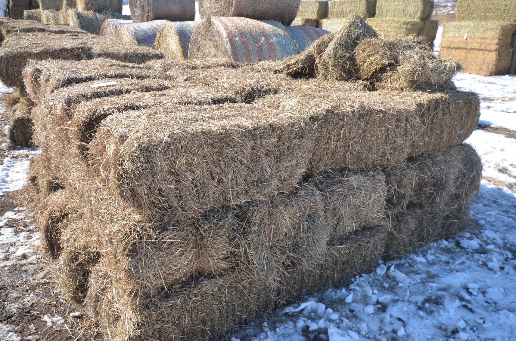 Image for MARCH DODGE HAY & BEDDING - Dodge, WI