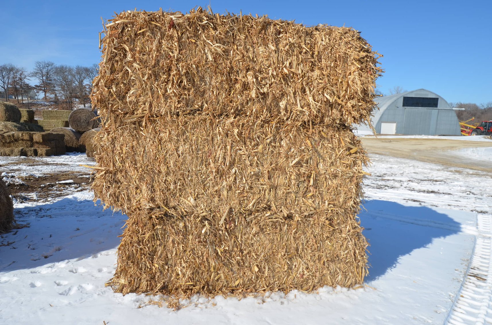 Image for MARCH DODGE HAY & BEDDING - Dodge, WI