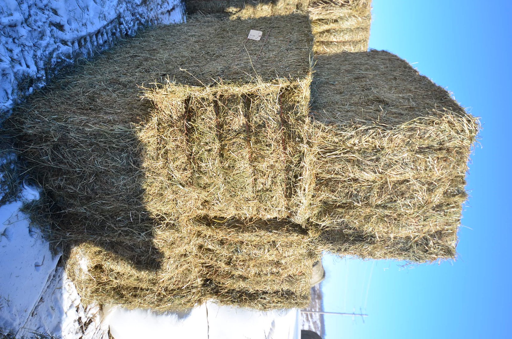 Image for MARCH DODGE HAY & BEDDING - Dodge, WI