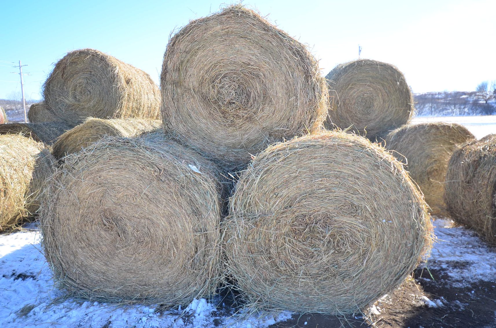 Image for MARCH DODGE HAY & BEDDING - Dodge, WI