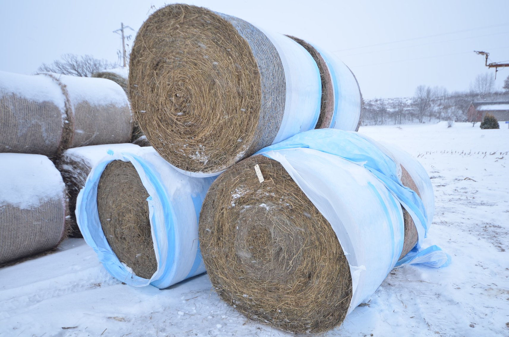 Image for DODGE JANUARY ONLINE HAY AUCTION - Dodge, WI