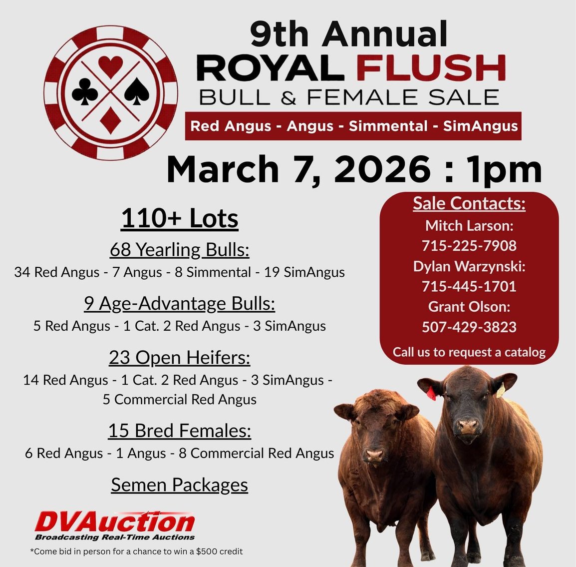 Image for 9th ANNUAL ROYAL FLUSH BULL&FEMALE SALE - Nelson, WI
