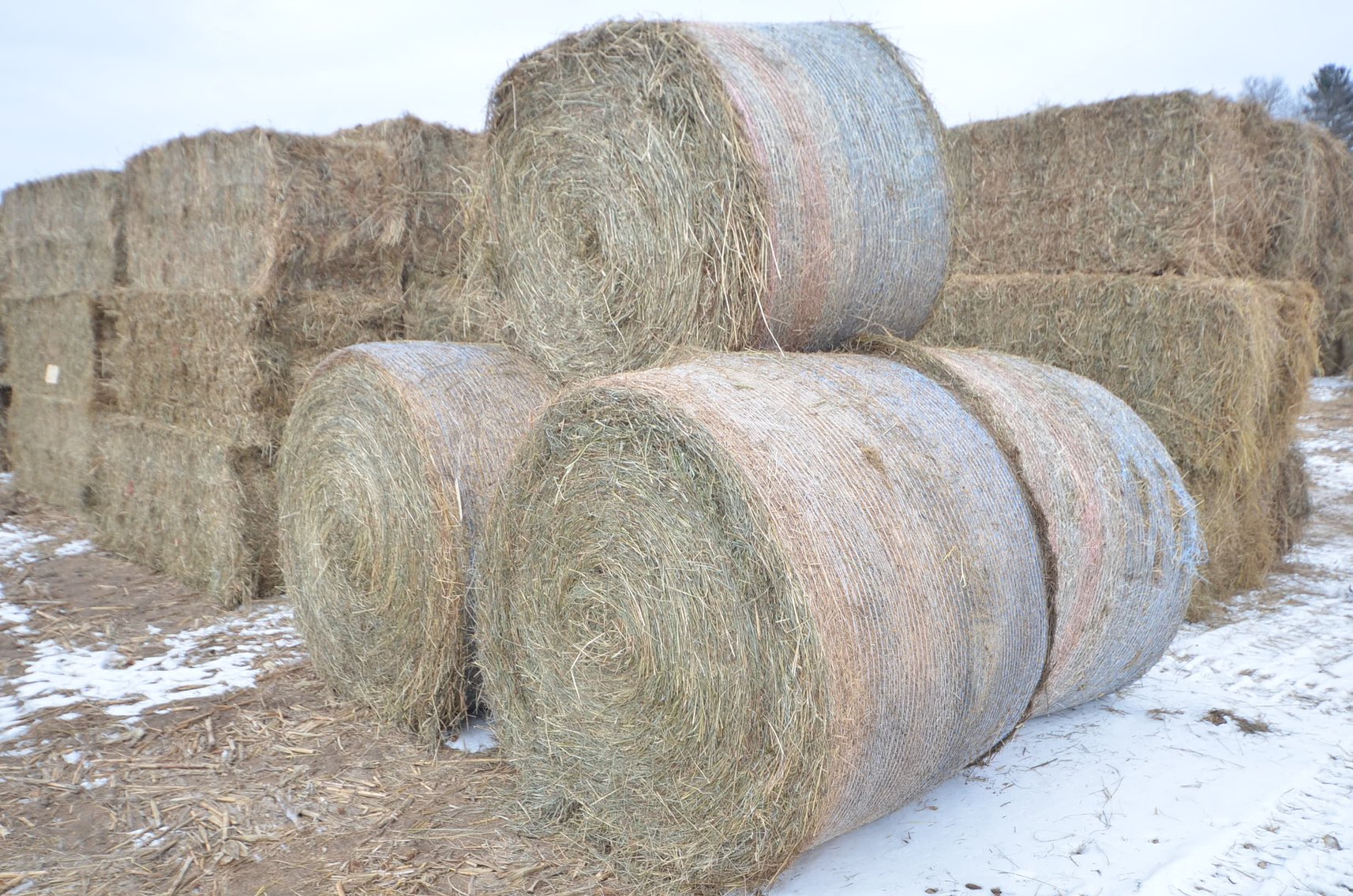 Image for FEB DODGE ONLINE HAY AUCTION - Dodge, WI