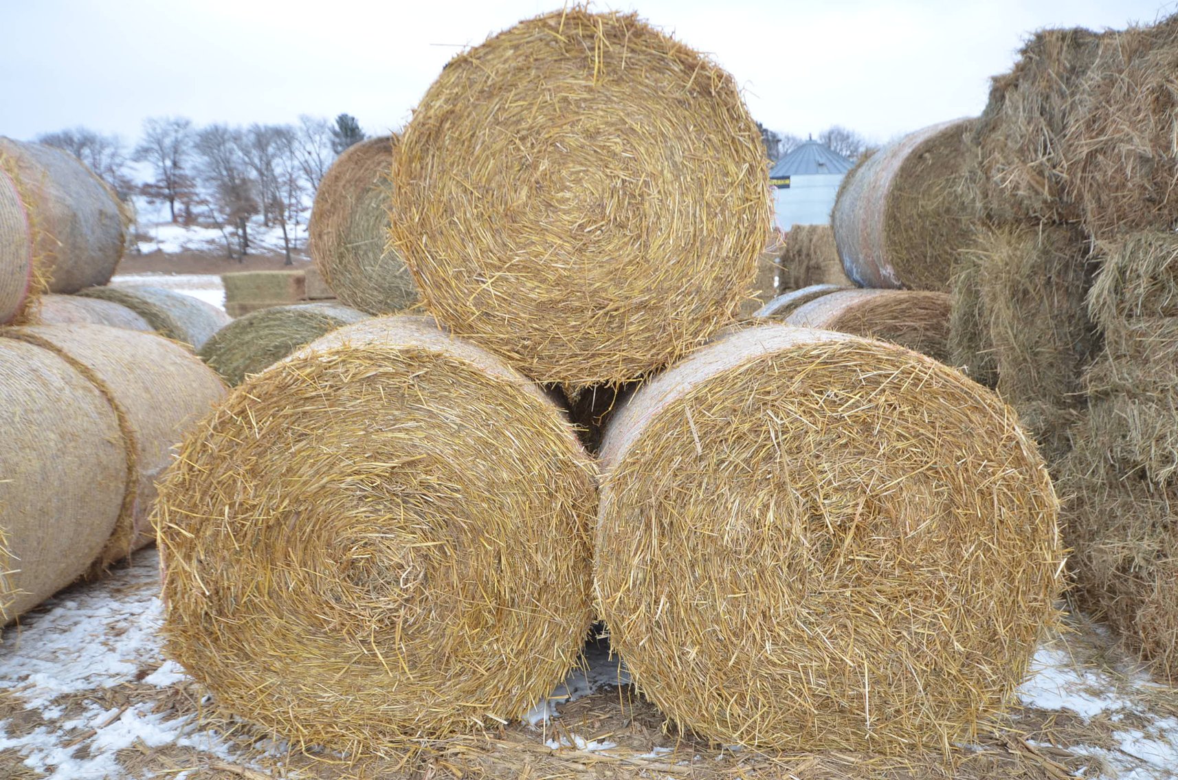 Image for FEB DODGE ONLINE HAY AUCTION - Dodge, WI