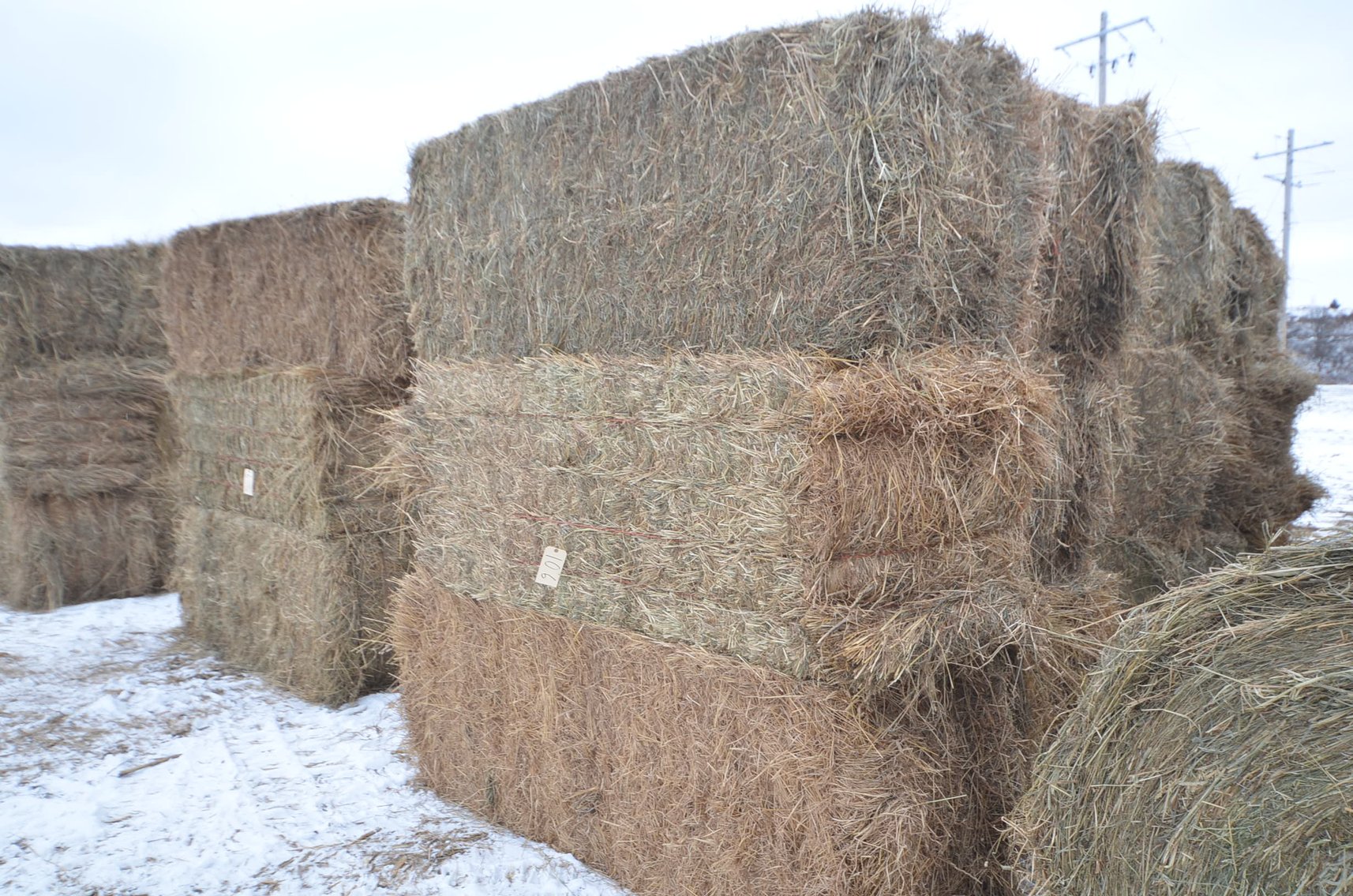 Image for FEB DODGE ONLINE HAY AUCTION - Dodge, WI