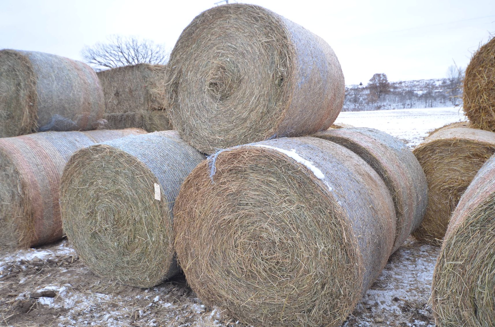 Image for FEB DODGE ONLINE HAY AUCTION - Dodge, WI