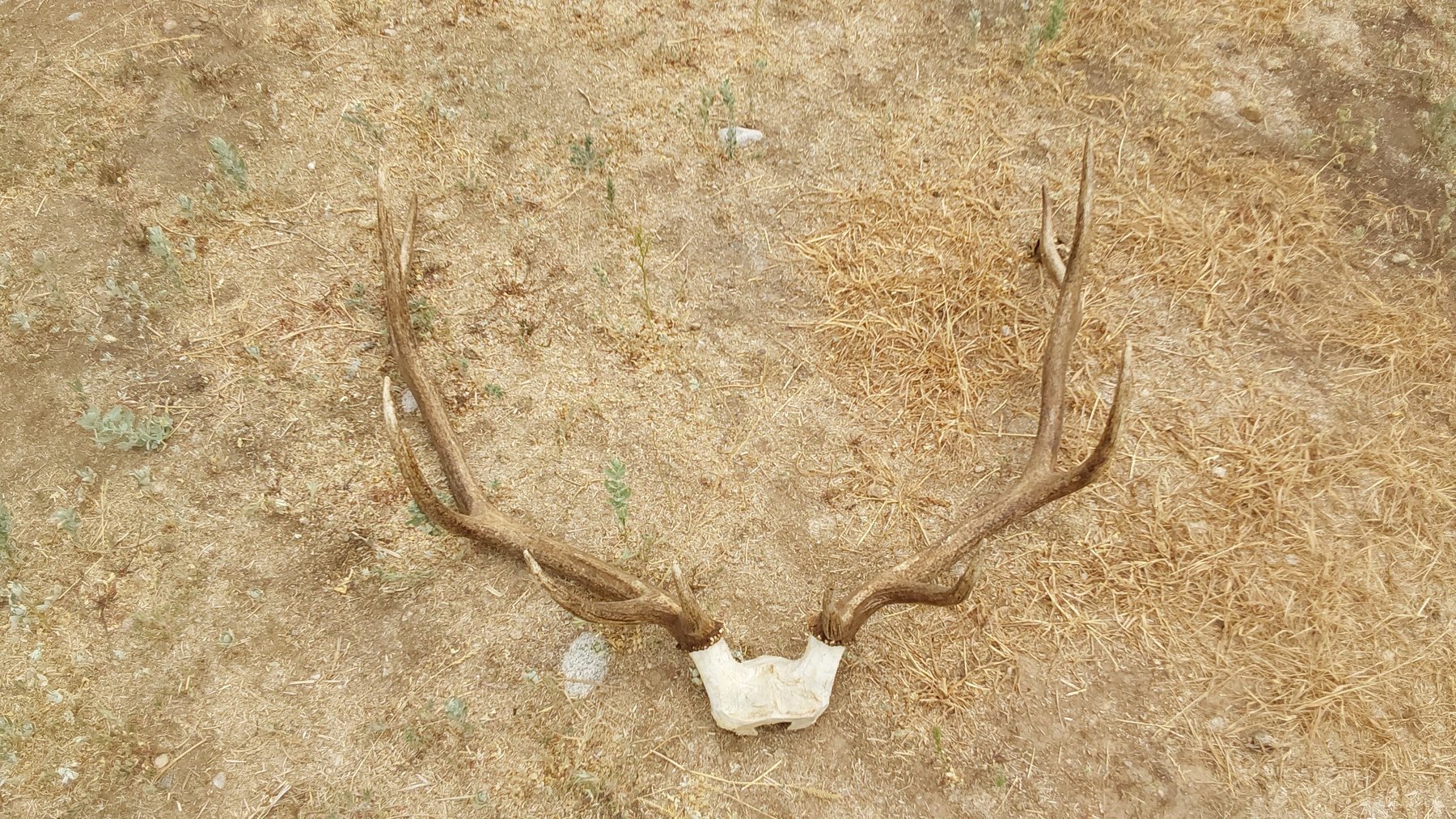 Image for Gus and Ada McDonell's Online Estate Auction