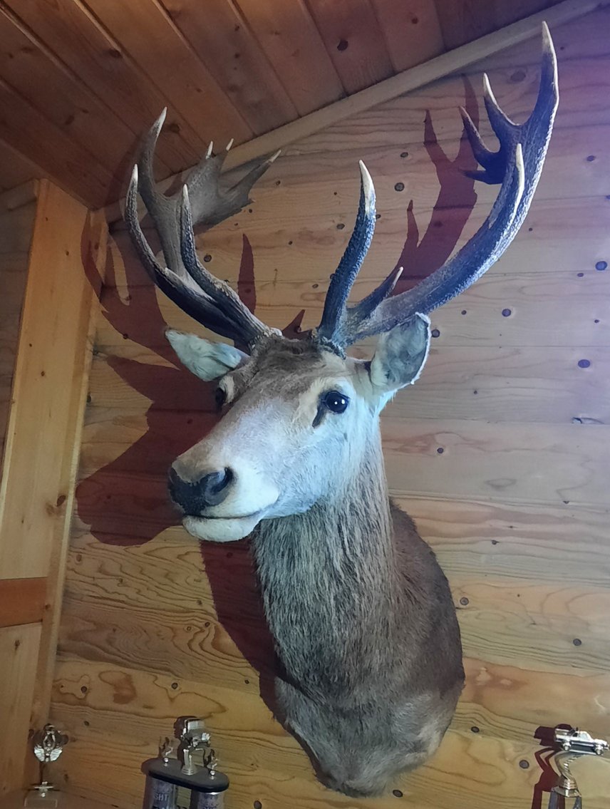 Image for December Online Consignment Auction