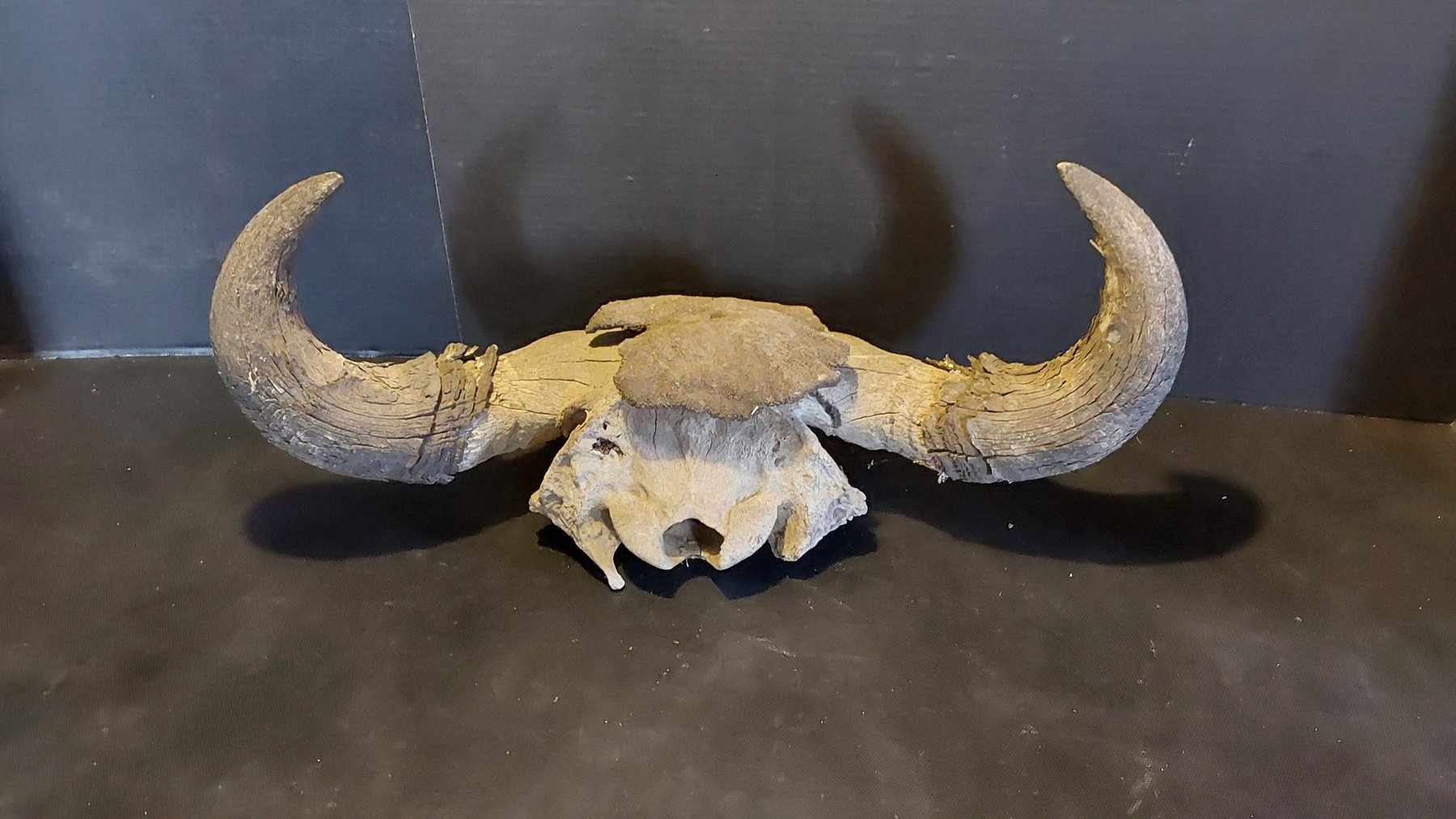 Image for Luck O' the Irish Online Consignment Auction