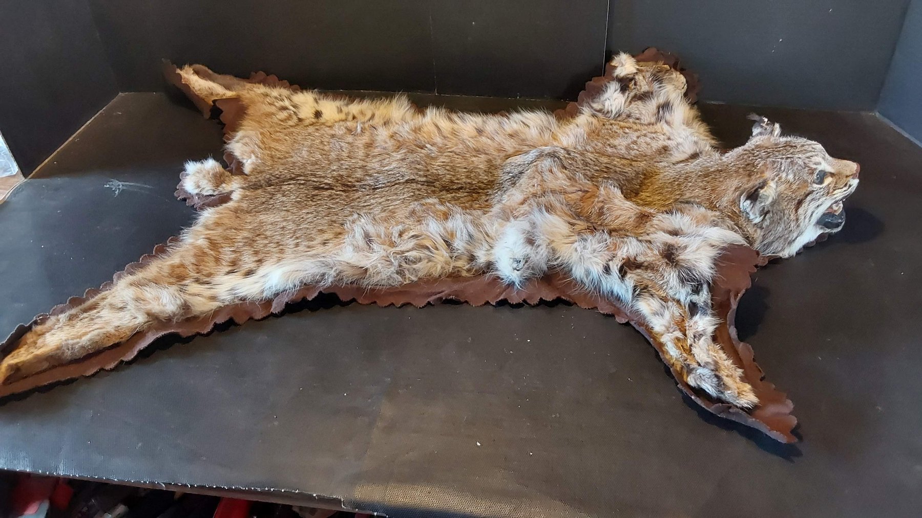 Image for May Online Spring Auction