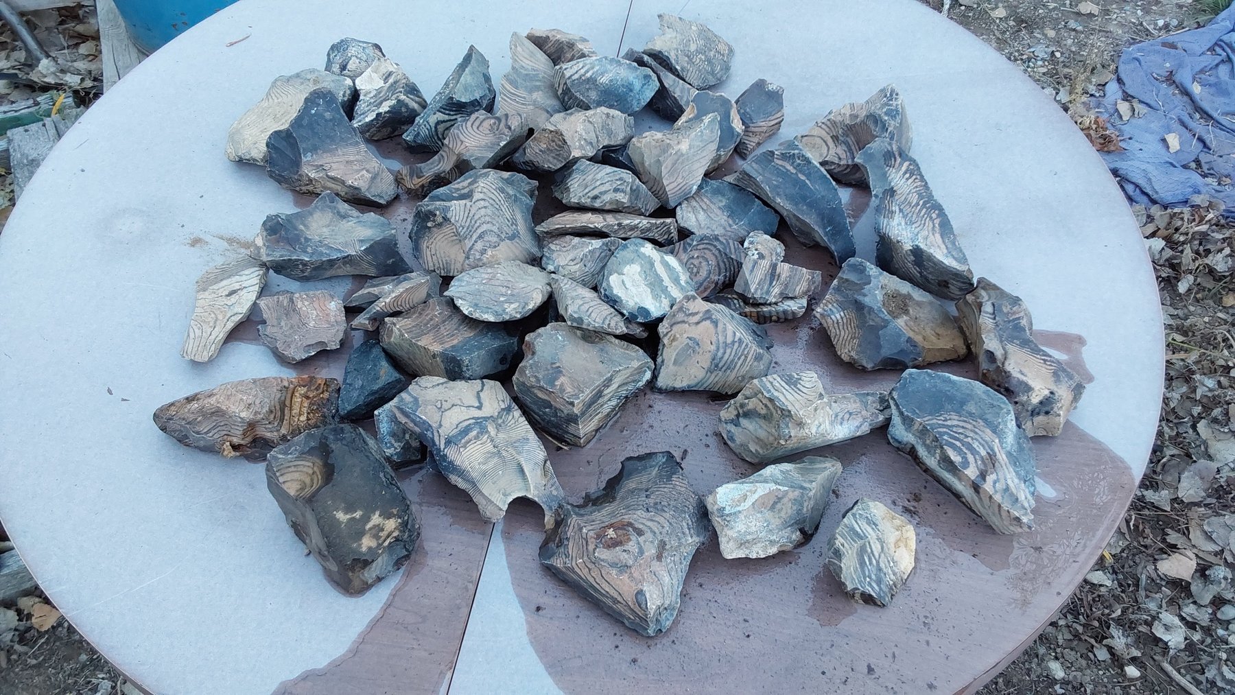 Image for October's Online Auction