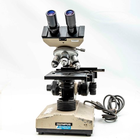 Image for Red Multi Consignor Auction