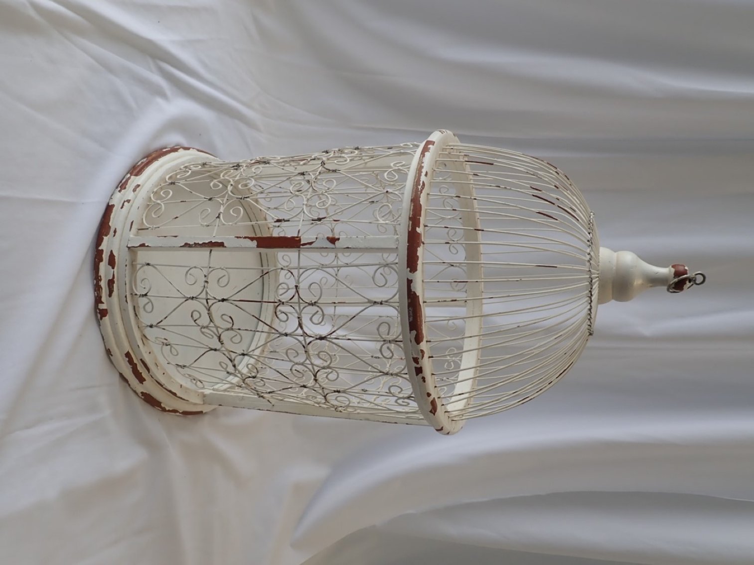 Image for Event & Party Fall Inventory Dispersal - Guelph