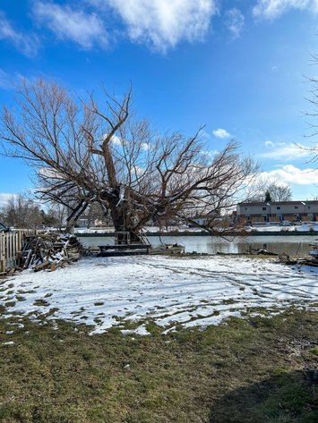 Image for Wallaceburg Riverfront Real Estate Auction