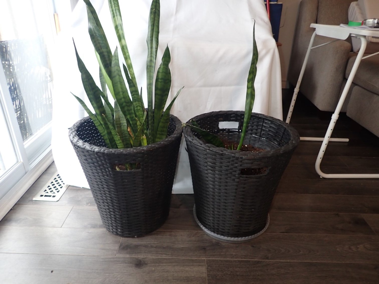 Image for Dagenais Relocation Auction - Orangeville