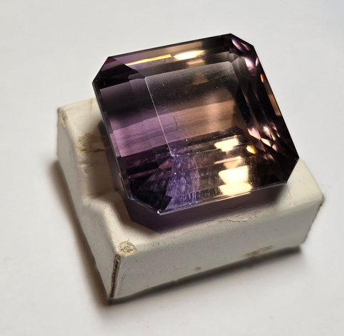 Image for The Big Bloom Multi Consignor Auction - Guelph