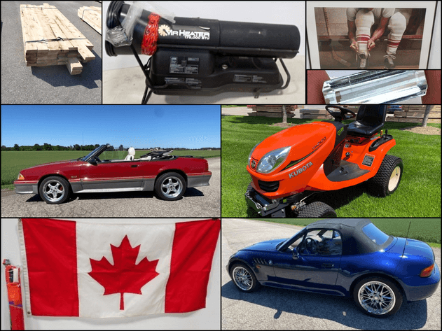 Image for The Big Bloom Multi Consignor Auction - Guelph