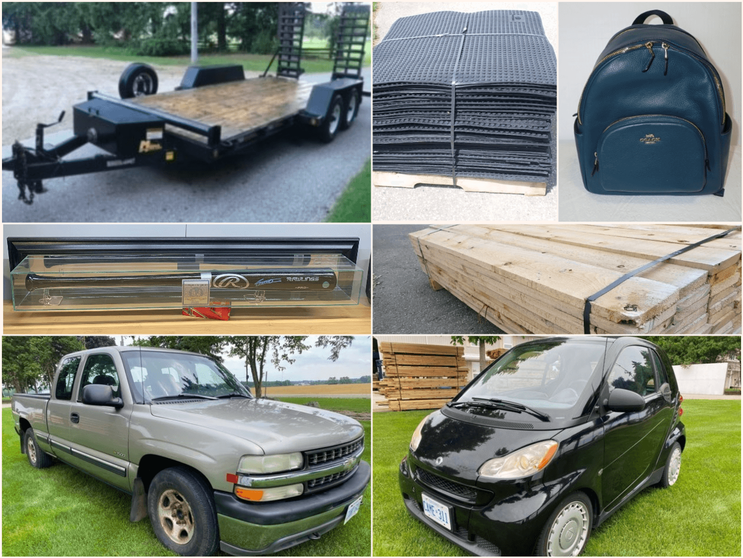 Image for Mid Summer Multi Consignor Auction - Guelph