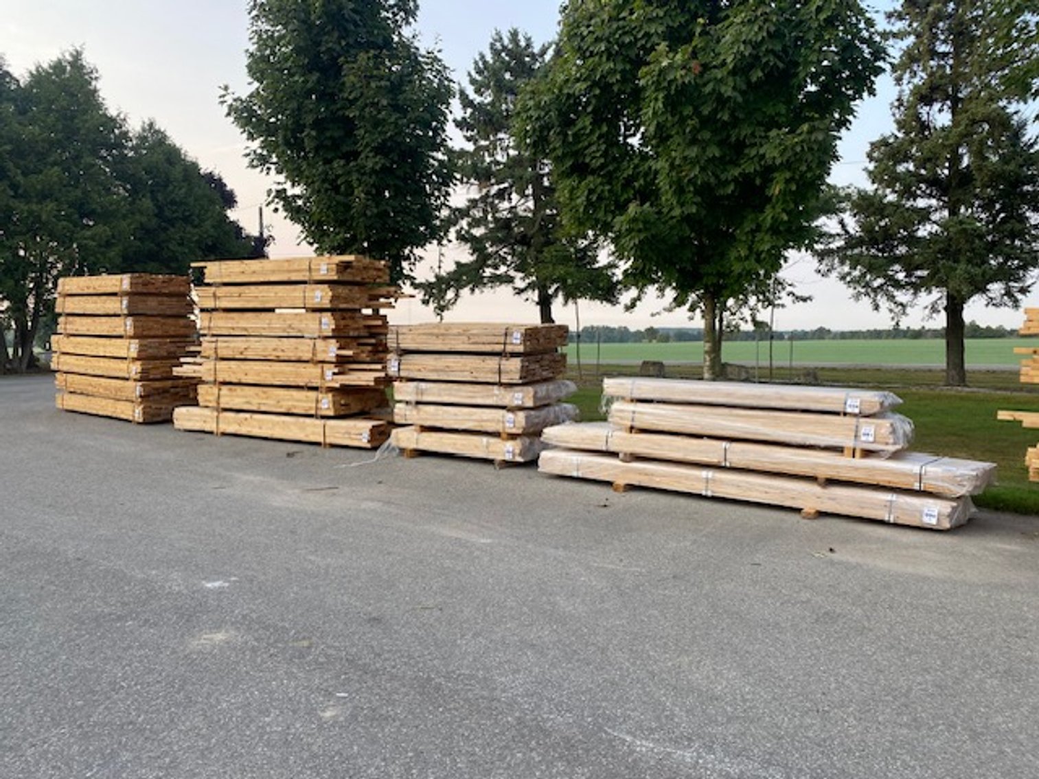 Image for Spectacular September Multi-Consignor Auction - Guelph