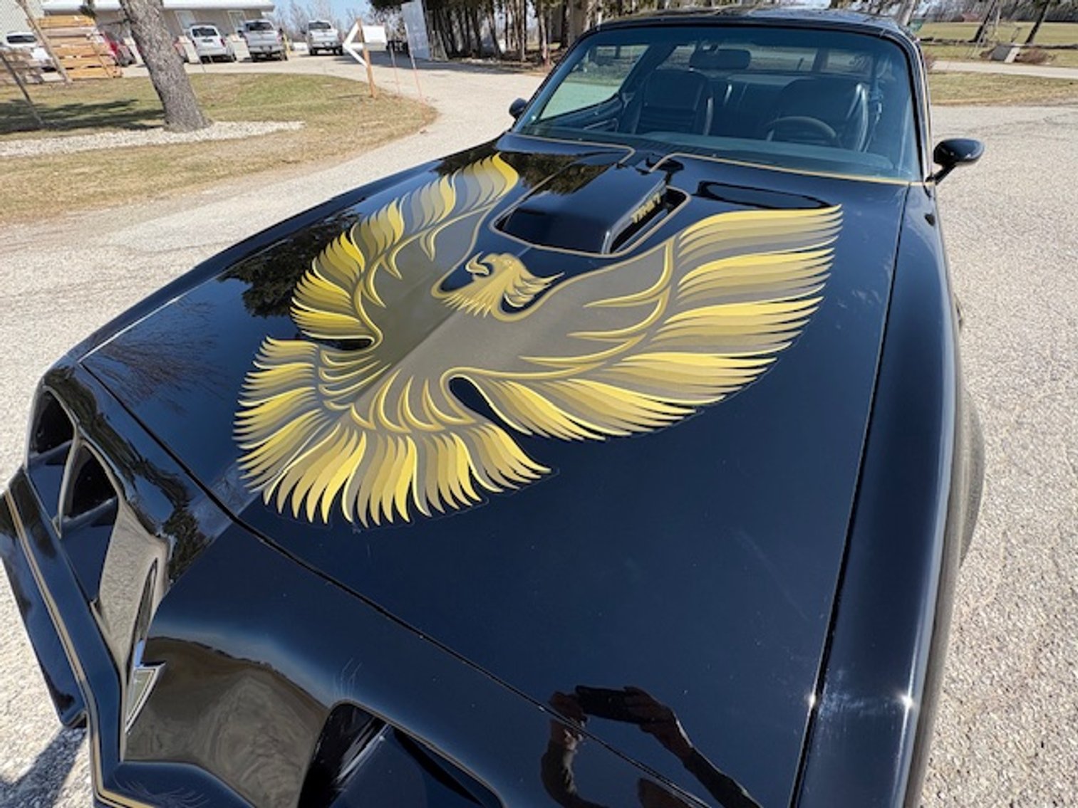 Image for Spring Awakens Multi-Consignor Auction - Guelph