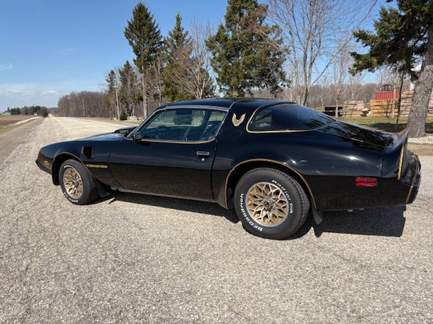 Image for Spring Awakens Multi-Consignor Auction - Guelph