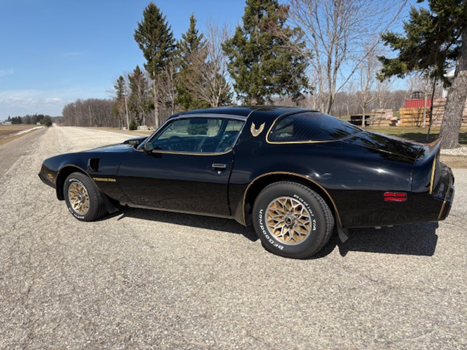 Image for Spring Awakens Multi-Consignor Auction - Guelph