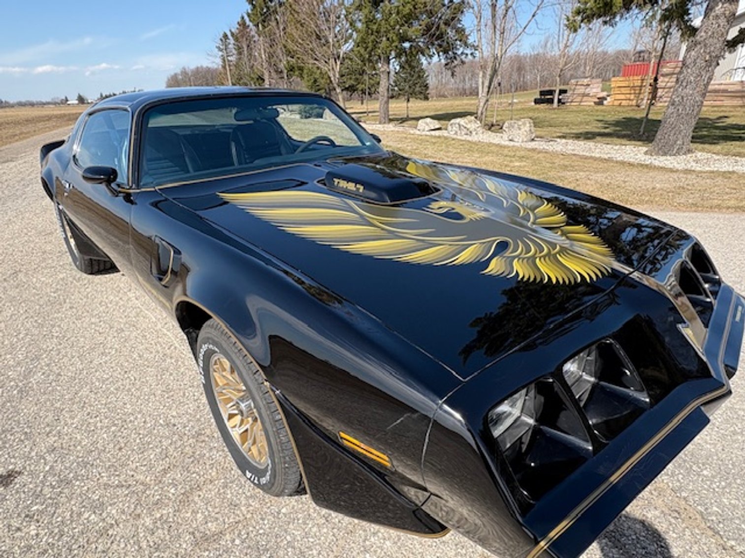 Image for Spring Awakens Multi-Consignor Auction - Guelph