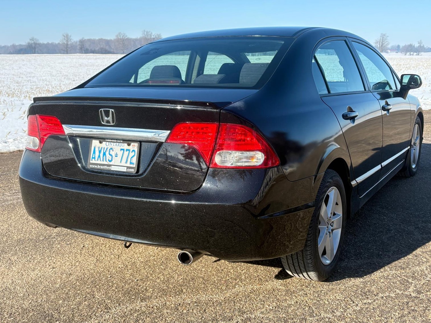 Image for March Multi Consignor Auction - Guelph