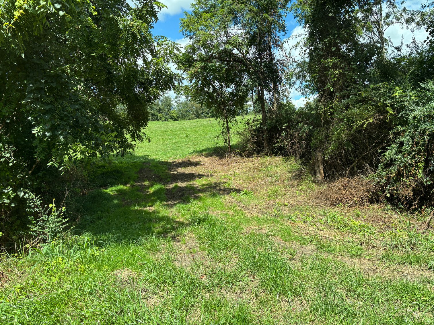 Image for Millsap Auction Sept. 20 @ 10 AM * TBD: Harrison Rd. Abingdon, VA