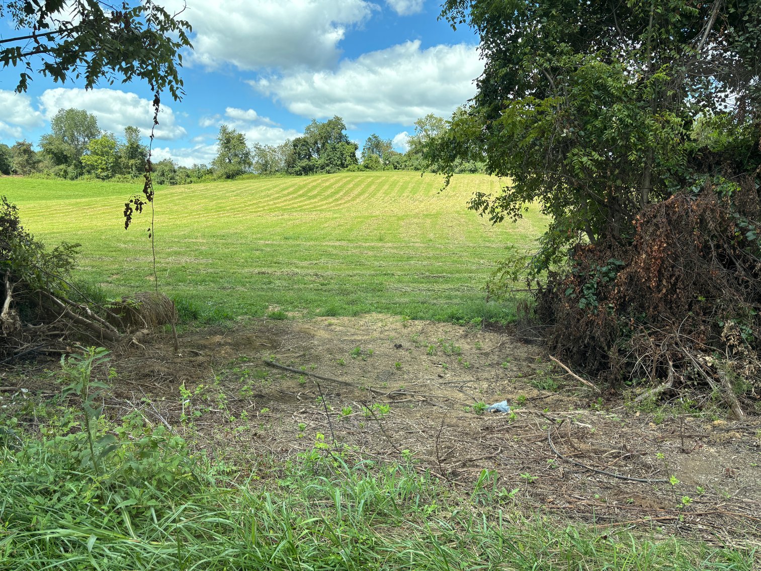 Image for Millsap Auction Sept. 20 @ 10 AM * TBD: Harrison Rd. Abingdon, VA