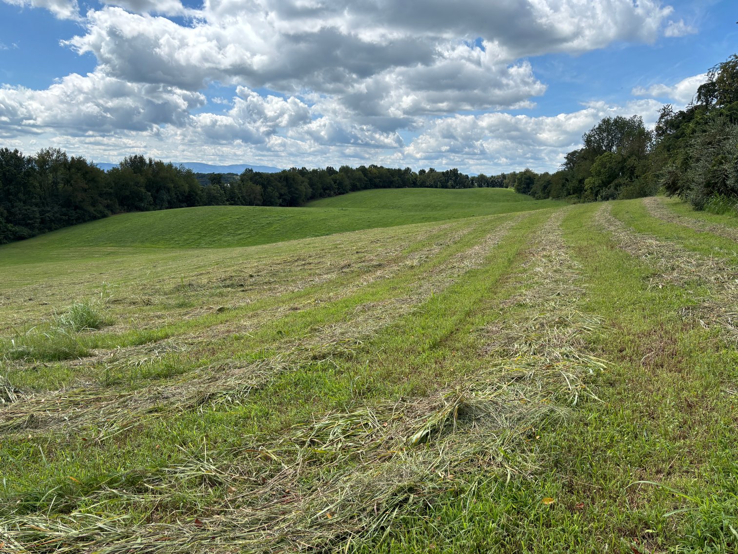 Image for Millsap Auction Sept. 20 @ 10 AM * TBD: Harrison Rd. Abingdon, VA