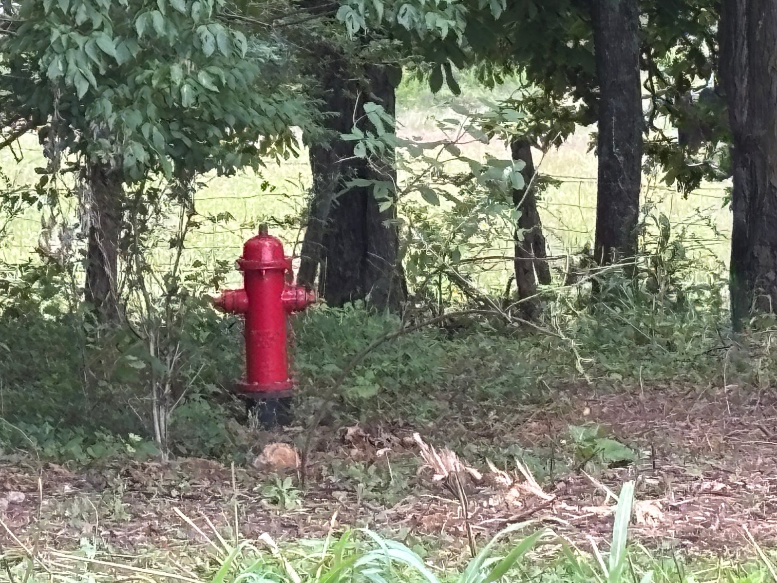 Image for Millsap Auction Sept. 20 @ 10 AM * TBD: Harrison Rd. Abingdon, VA