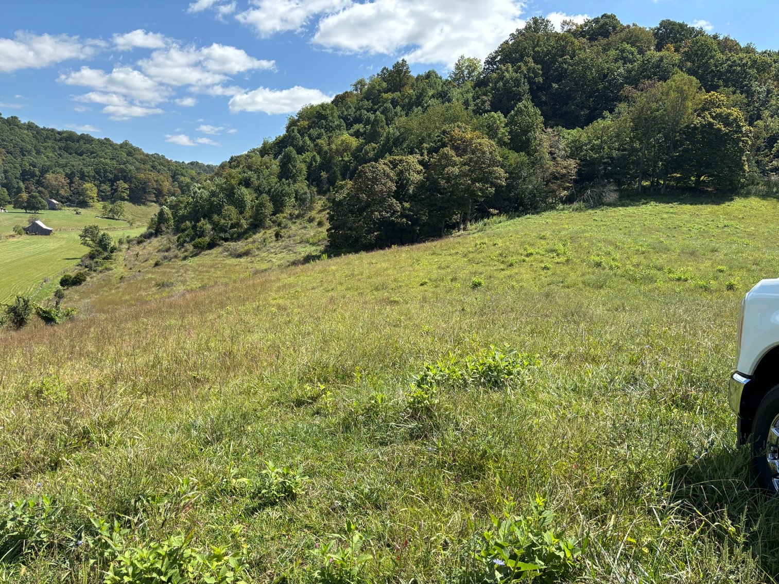 Image for McCroskey Auction Sat. Oct. 25 @ 10 A.M. 15058 Rich Valley Rd. Abingdon, VA. 24210