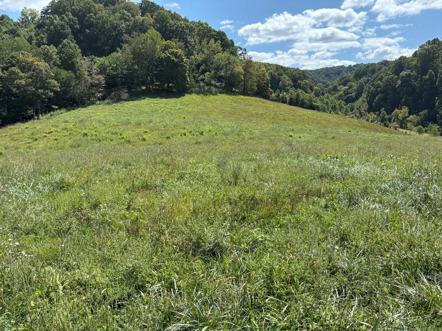 Image for McCroskey Auction Sat. Oct. 25 @ 10 A.M. 15058 Rich Valley Rd. Abingdon, VA. 24210