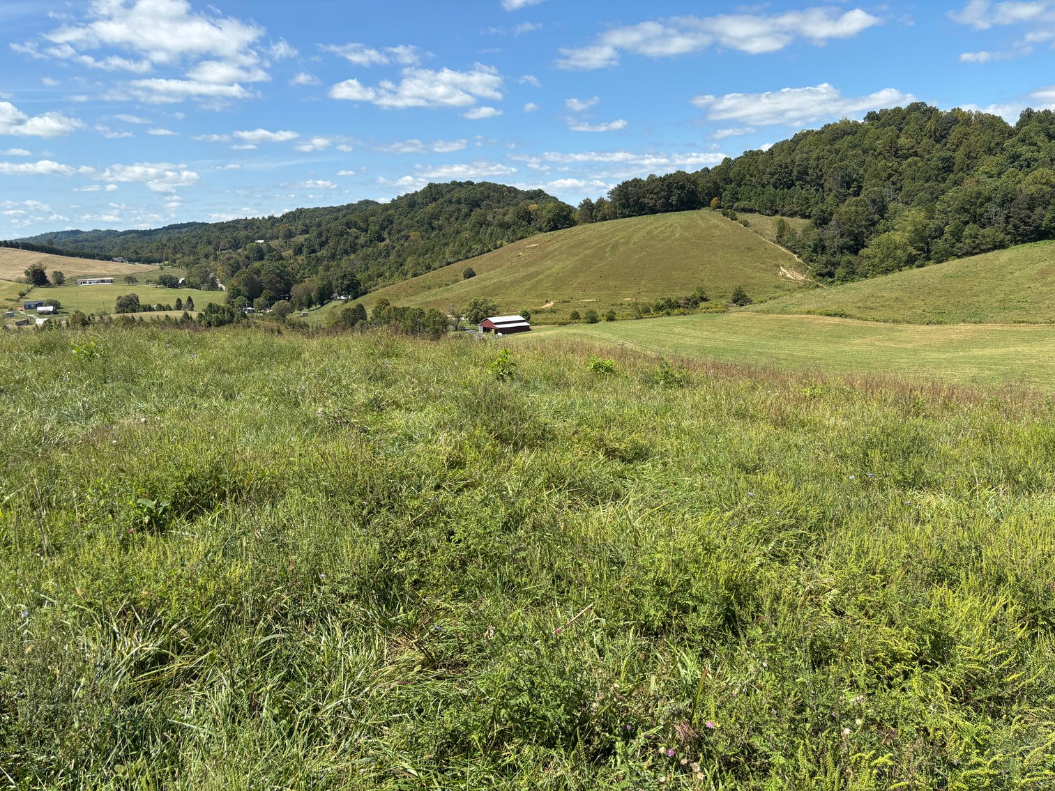 Image for McCroskey Auction Sat. Oct. 25 @ 10 A.M. 15058 Rich Valley Rd. Abingdon, VA. 24210