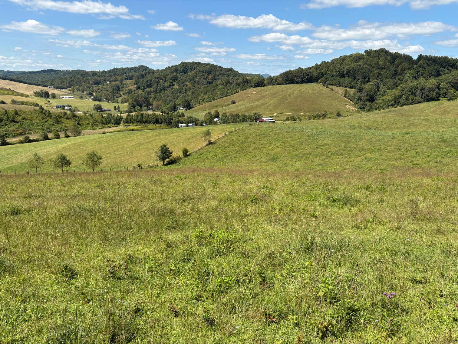 Image for McCroskey Auction Sat. Oct. 25 @ 10 A.M. 15058 Rich Valley Rd. Abingdon, VA. 24210